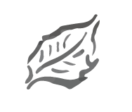 icône feuille vectorisée
