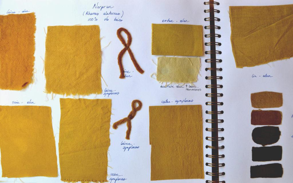 nuancier de couleurs, échantillons de tissus jaunes du nerprun, teinture végétale